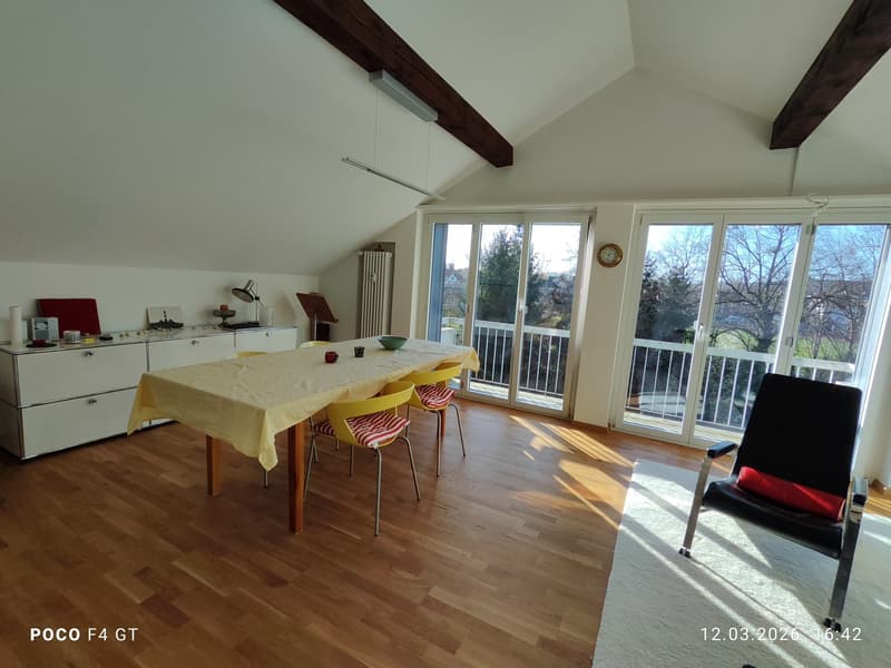 moderne 2-Zimmer-Dachwohnung in ruhiger Lage (2)