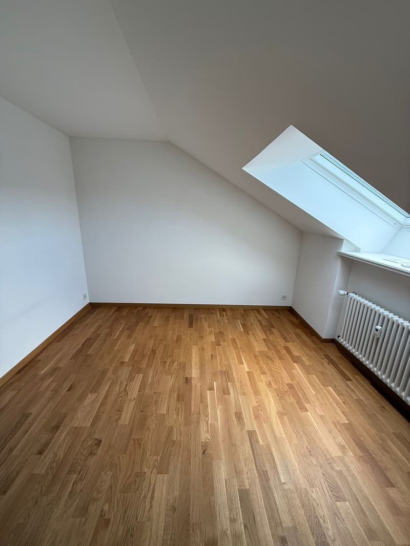 moderne 2-Zimmer-Dachwohnung in ruhiger Lage (5)