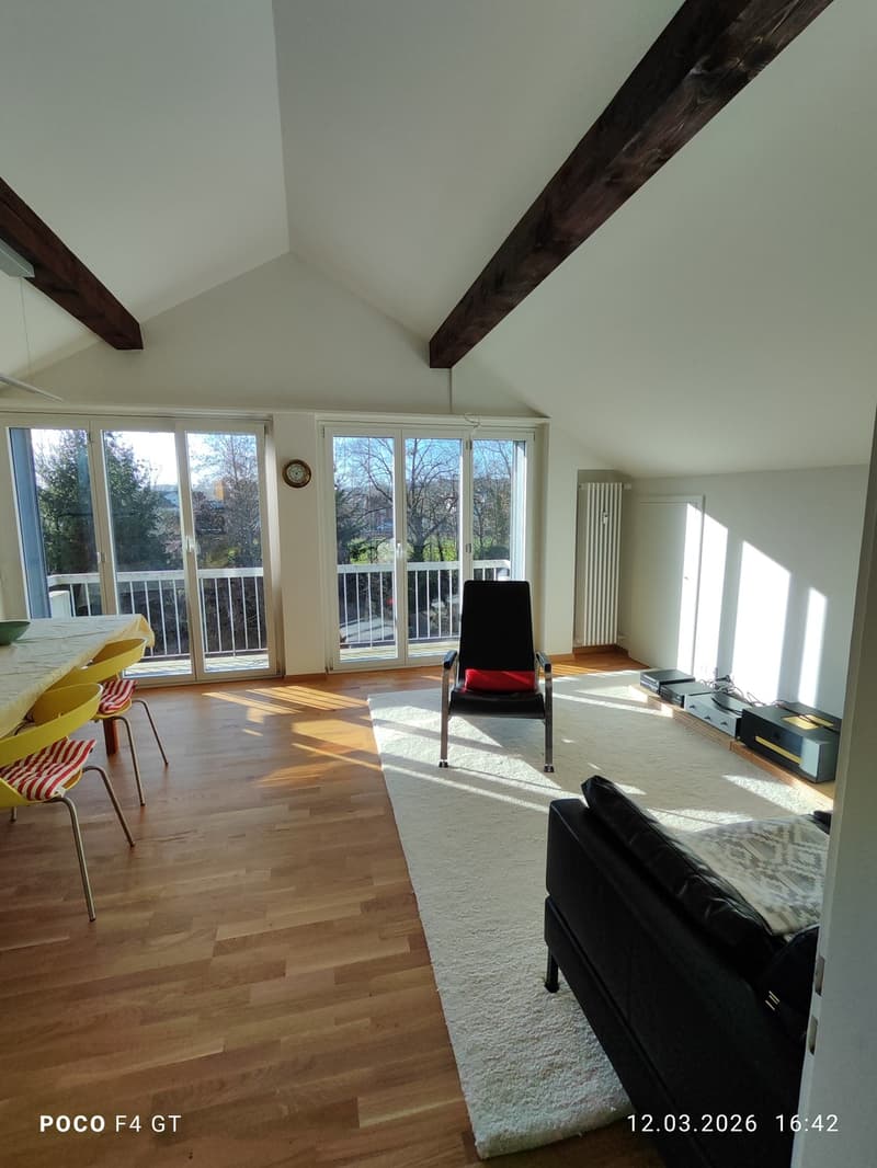 moderne 2-Zimmer-Dachwohnung in ruhiger Lage (1)
