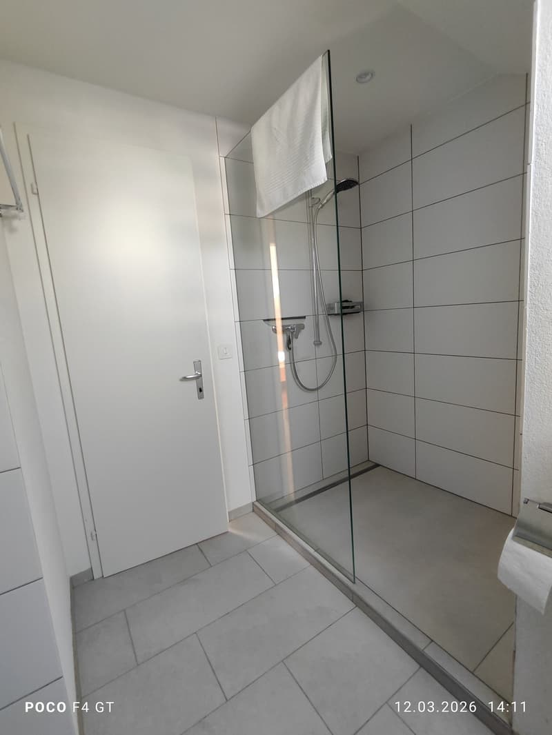 moderne 2-Zimmer-Dachwohnung in ruhiger Lage (6)