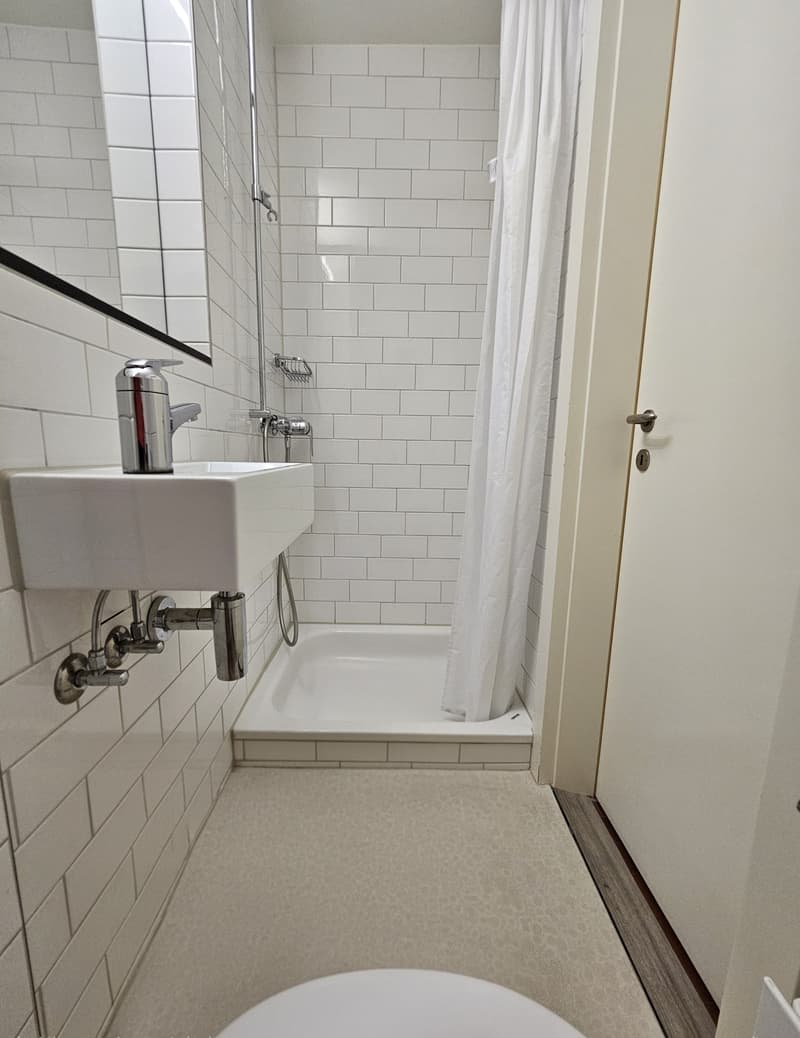 Helle 5.5-Zimmer-Maisonette mit Seesicht (5)