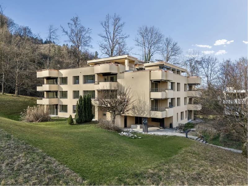 Erstbezug: Stilvolle 4.5-Zimmer-Wohnung in Adliswil (1)