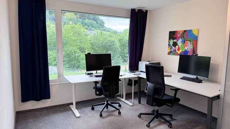Exklusives möbliertes 8.5-Zimmer Einfamilienhaus mit Garten und Doppelgarage (13)