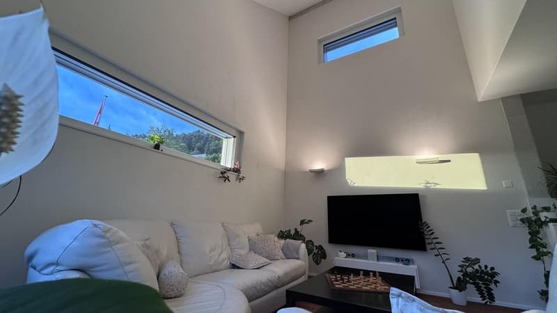 Exklusives möbliertes 8.5-Zimmer Einfamilienhaus mit Garten und Doppelgarage (2)