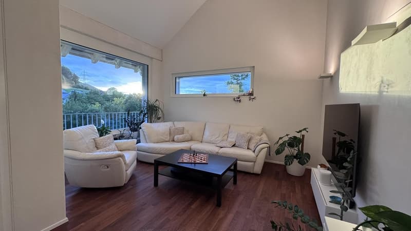 Exklusives möbliertes 8.5-Zimmer Einfamilienhaus mit Garten und Doppelgarage (1)