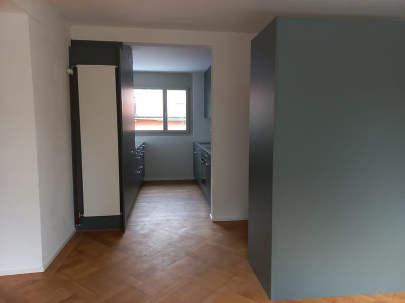 2 ½ Zimmer-Wohnung, 6006 Luzern (7)
