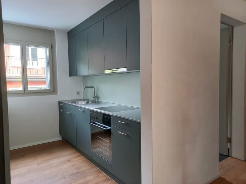 2 ½ Zimmer-Wohnung, 6006 Luzern (6)