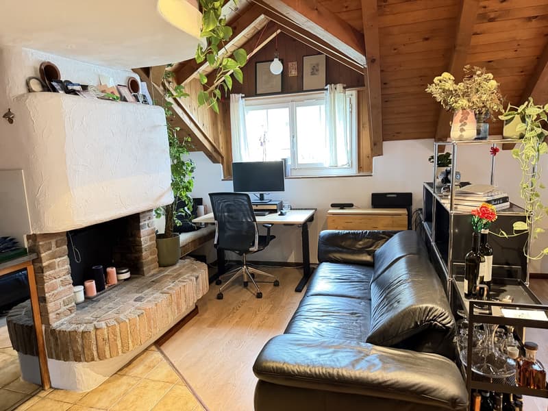Charming 70m2 Apartment in Zürich 8006 (2)