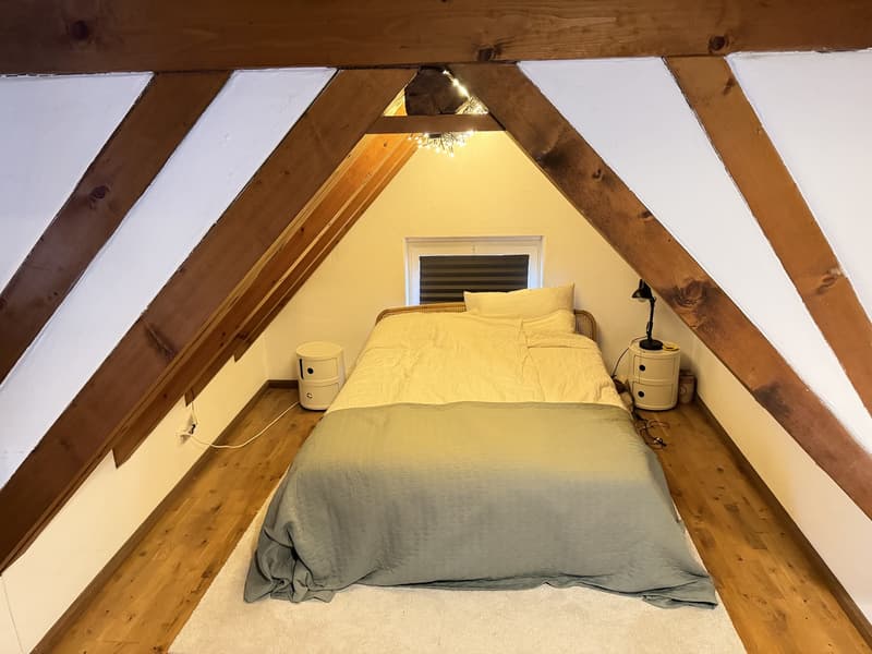 Charming 70m2 Apartment in Zürich 8006 (7)