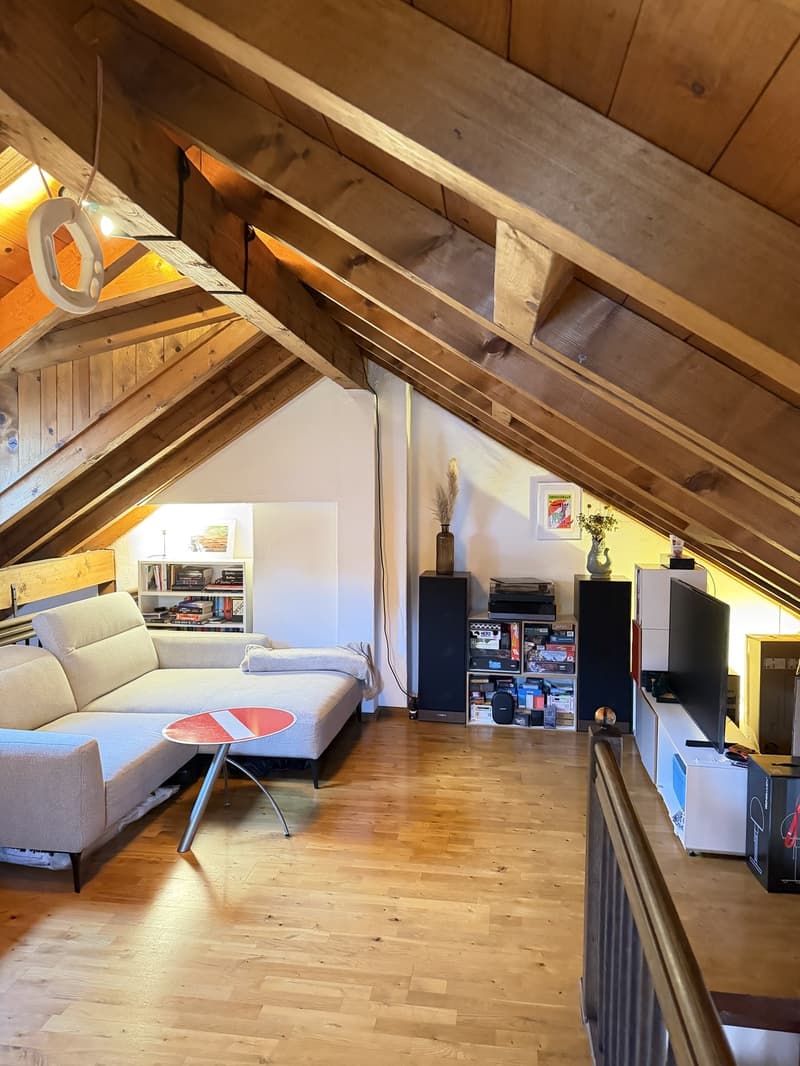 Charming 70m2 Apartment in Zürich 8006 (3)