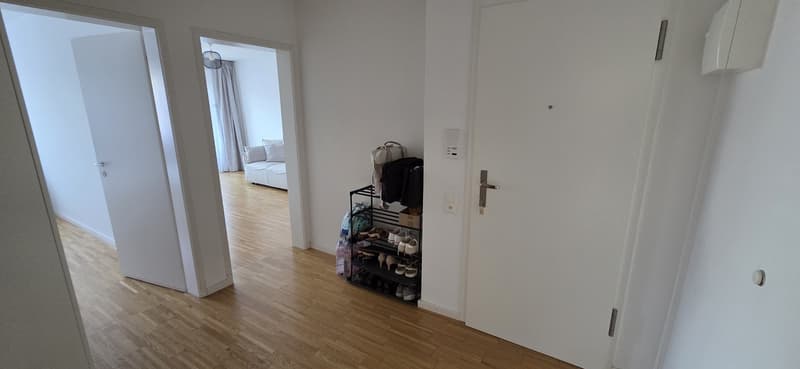 Helle und gemütliche 2-Zimmer-Wohnung mit zwei Balkonen in Basel (8)