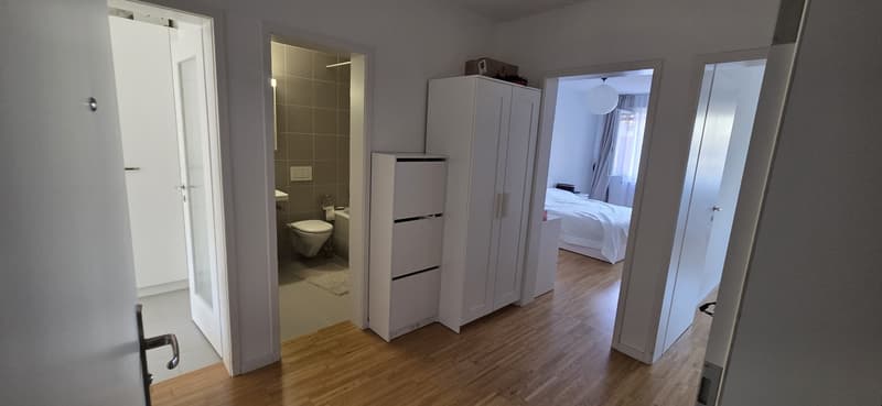 Helle und gemütliche 2-Zimmer-Wohnung mit zwei Balkonen in Basel (9)