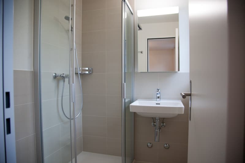 Hochwertige 3.5-Zimmerwohnung mit Stil zu vermieten (9)