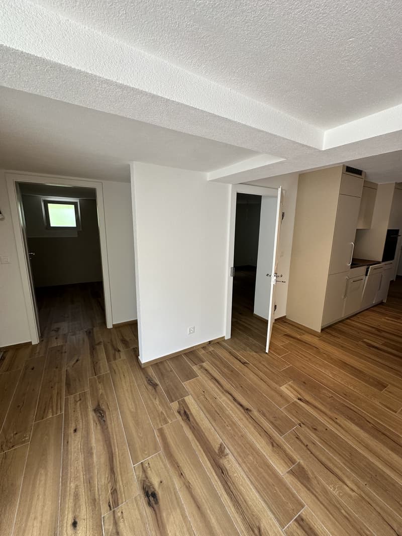 Frisch renovierte 3.5-Zimmer-Parterrewohnung mit Gartenzugang (9)