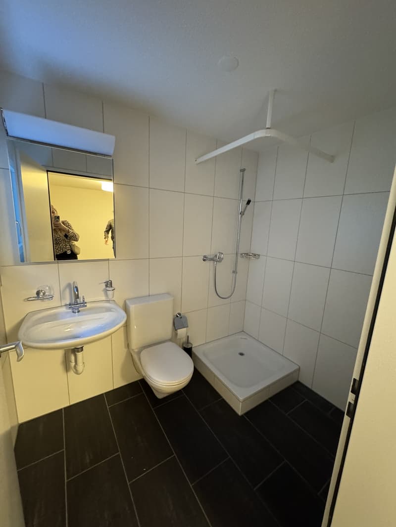 Grosszügige 4.5-Zimmer-Maisonettewohnung mit Garten in Zumikon  verfügbar ab 15. August 2025 (12)