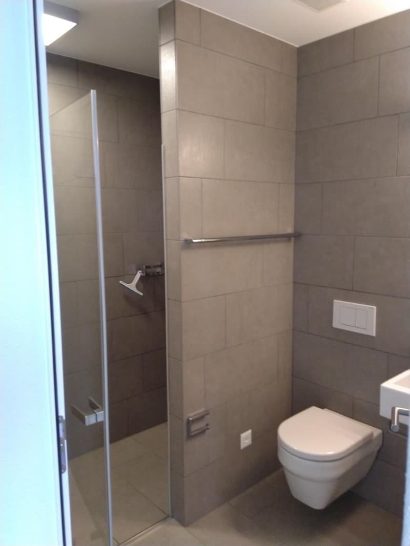 ROTKREUZ: Helle möblierte 3.5-Zimmer-Wohnung/Bright Furnished 3.5-Room Apartment (5)