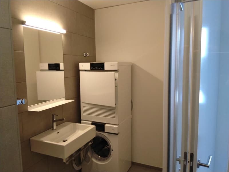 ROTKREUZ: Helle möblierte 3.5-Zimmer-Wohnung/Bright Furnished 3.5-Room Apartment (7)