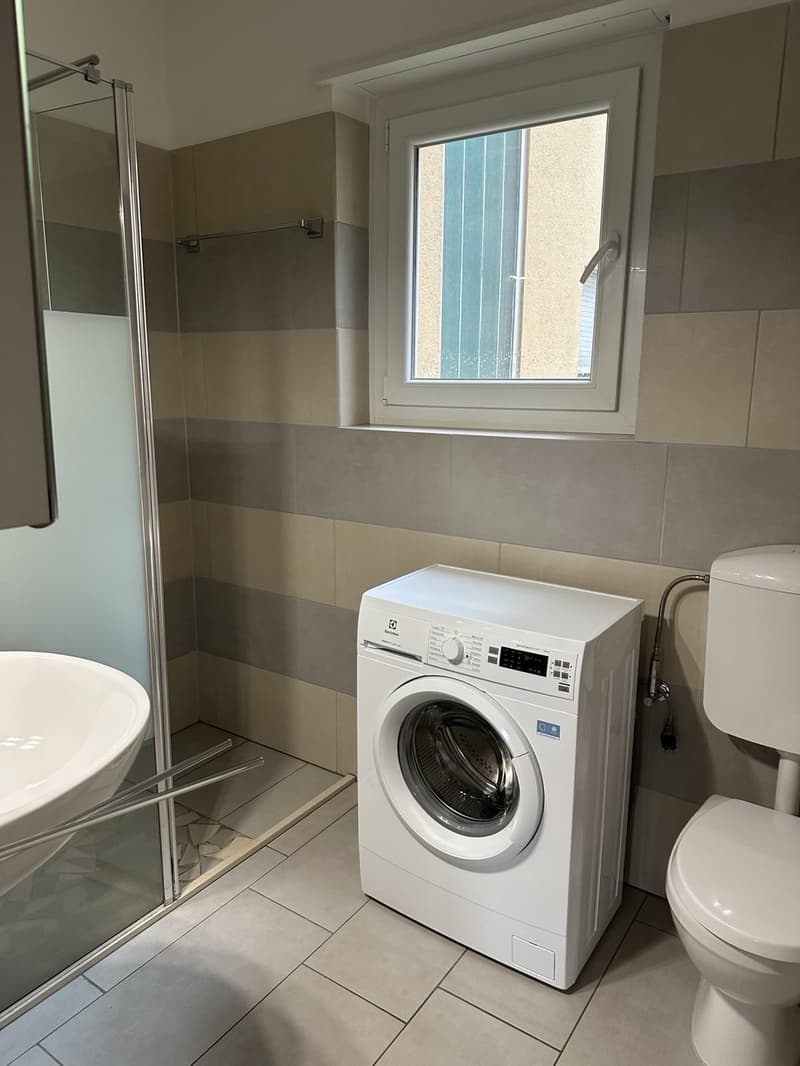 First occupancy after complete renovation exclusive 2.5-room apartment with glazed winter garden, air conditioning and elevator, only 50 metres from Lake Lugano (8)