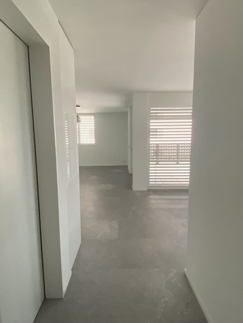 4 ½ Zimmer-Wohnung, 8488 Turbenthal (10)
