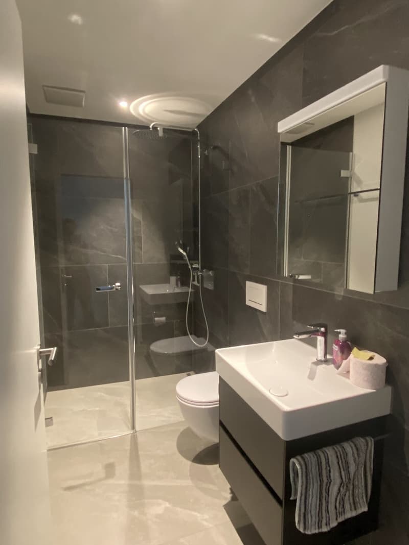 4 ½ Zimmer-Wohnung, 8488 Turbenthal (7)