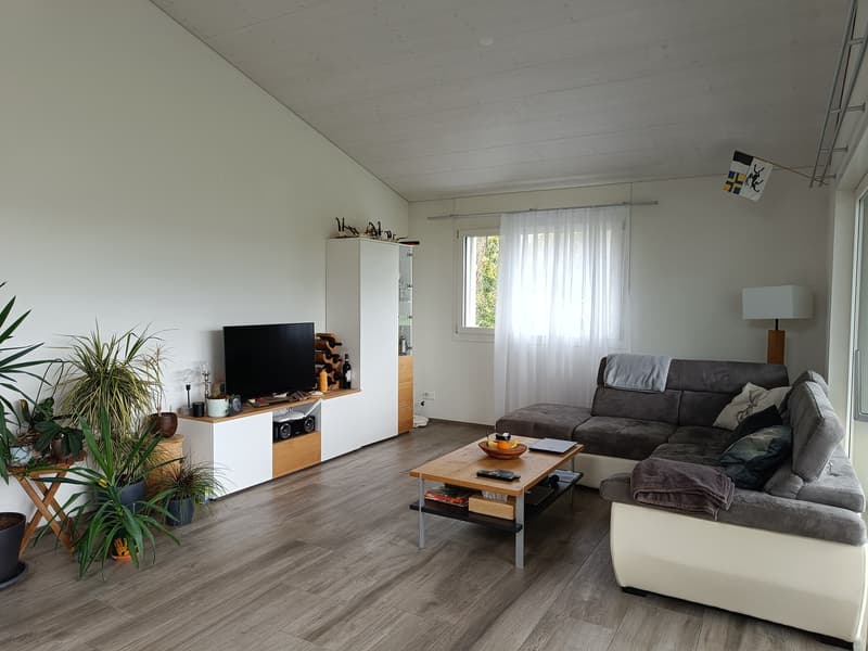 Möblierte Dachwohnung mit grosszügiger Küche, zwei Terrassen und Bergsicht befristet (Stans) (1)