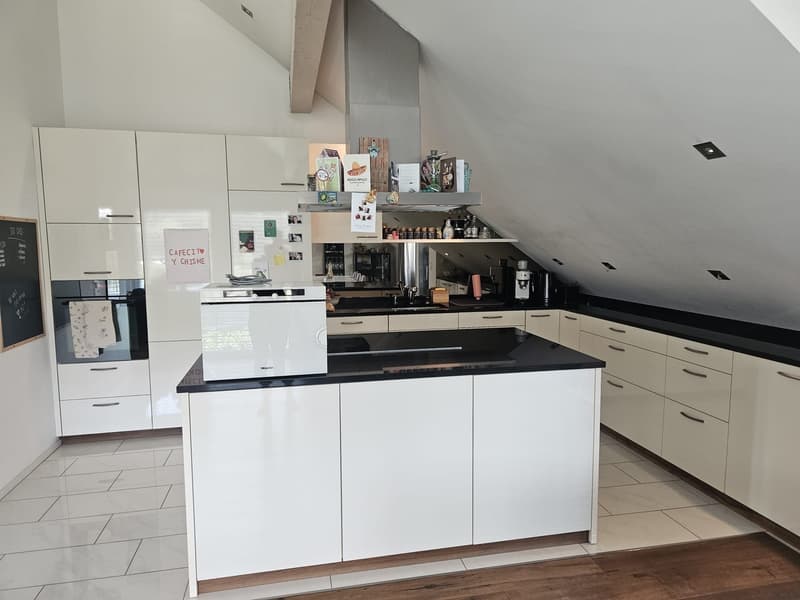 Moderne 3.5 Zimmer-Dachwohnung (3)