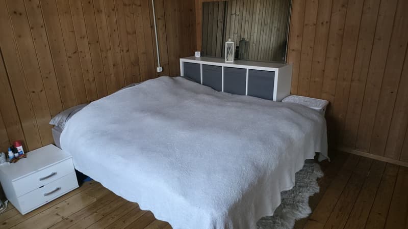 Nachmieter für 3-Zi Wohnung gesucht (9)