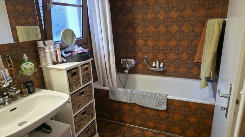 Nachmieter für 3-Zi Wohnung gesucht (13)