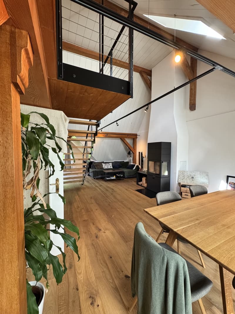 Loftartiges Wohnen über den Dächern der Stadt (2)