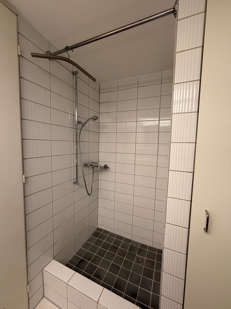 Stilvolle 2.5-Zimmerwohnung mit Altstadtflair im Herzen von Zürich (12)