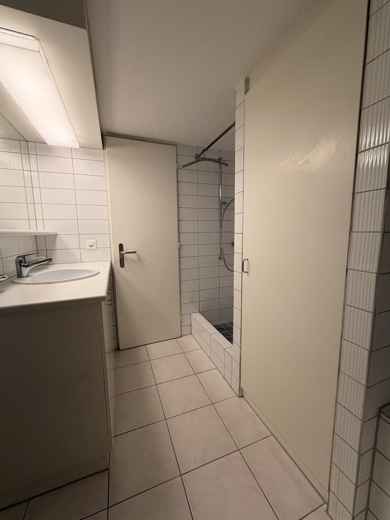 Stilvolle 2.5-Zimmerwohnung mit Altstadtflair im Herzen von Zürich (11)