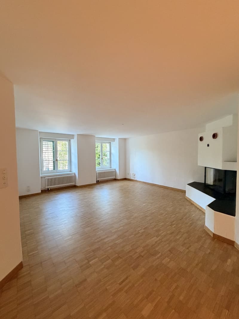 Stilvolle 2.5-Zimmerwohnung mit Altstadtflair im Herzen von Zürich (4)