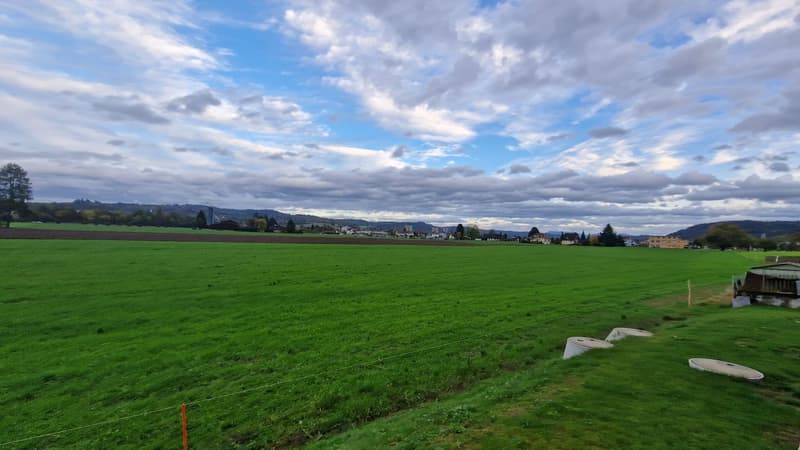 4.5 Zi. Maisonette-Wohnung 155m2 & 70m2 Terrassen - nur 2 Wohnungen im Haus! (12)