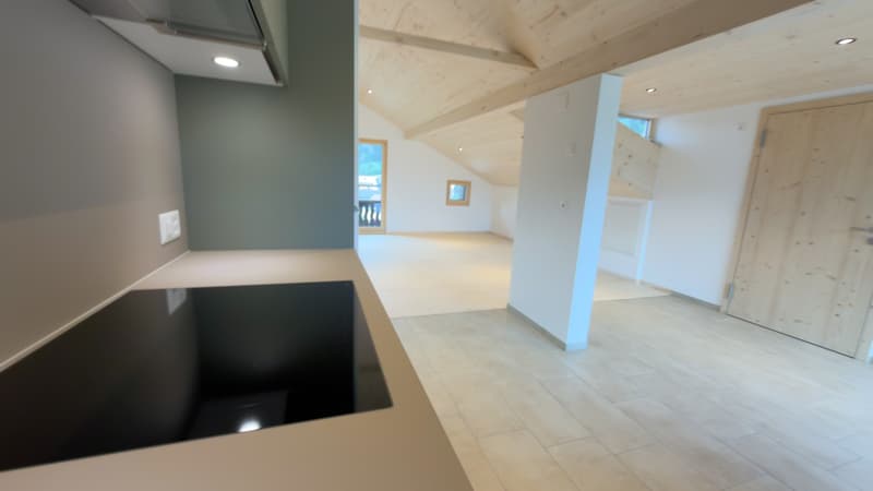 2.5 Zi Wohnung (6)