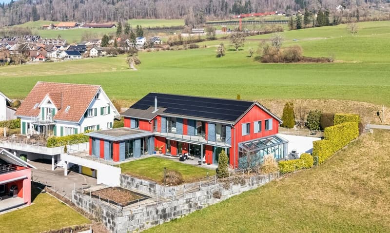 single house in Mettmenstetten with Mountain Views (2)