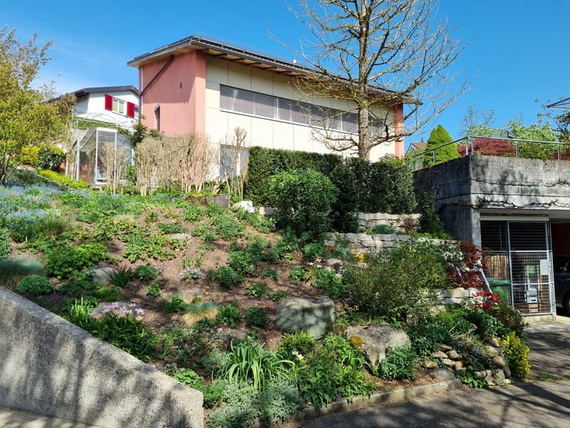 Stilvolle 3-Zimmer Wohnung im Grünen mit zwei Gartensitzplätzen für Singles oder Paare (3)