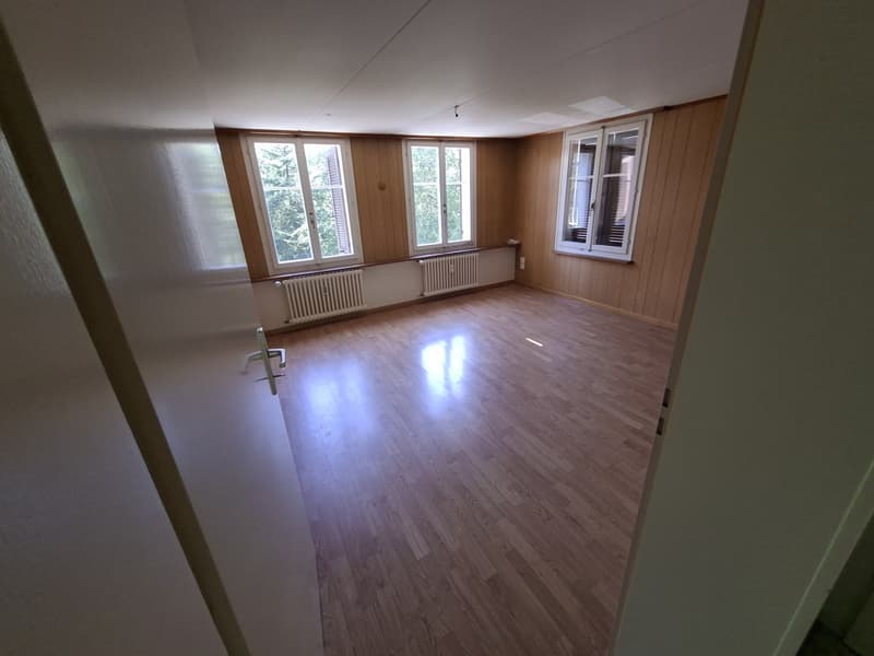 2 Zimmer- Wohnung im Grünen (4)