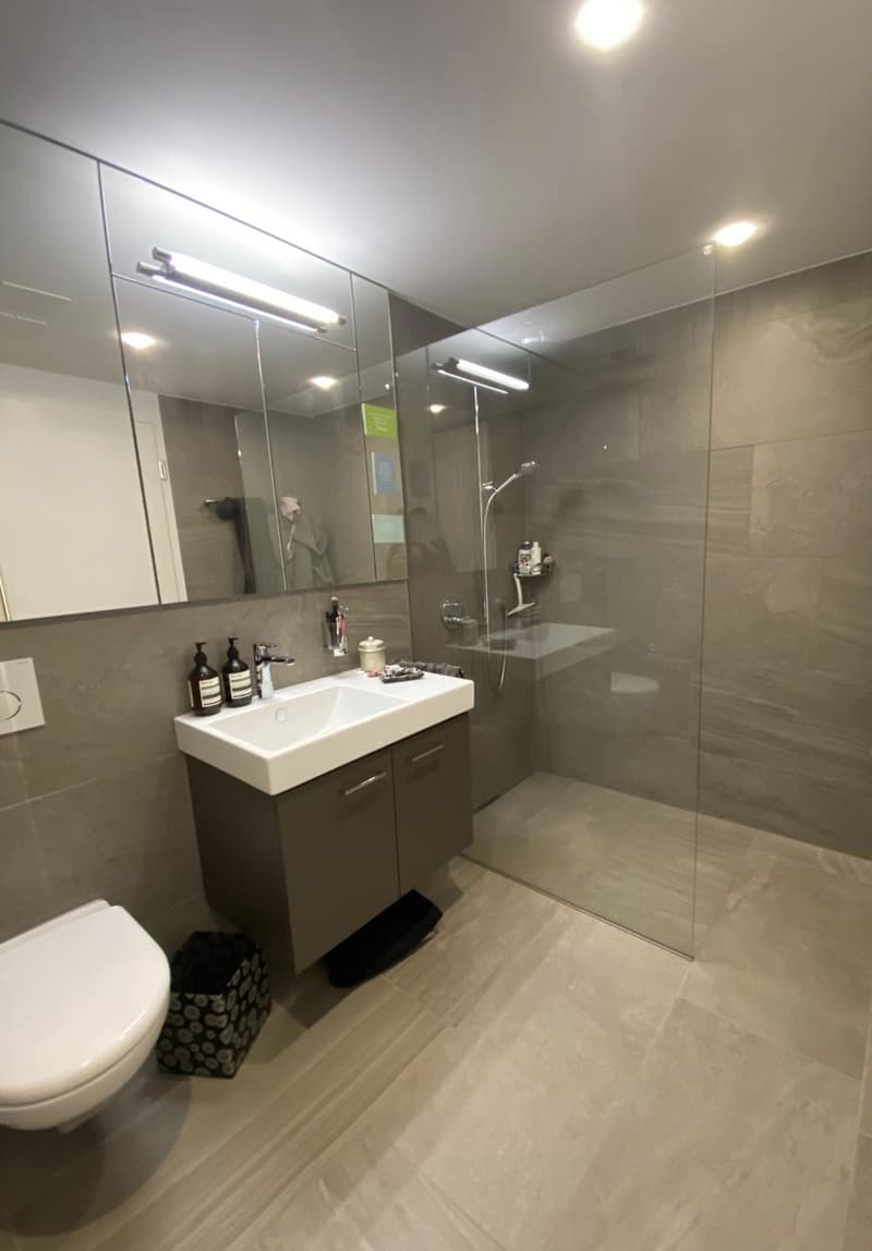 2 ½ Zimmer-Wohnung, 8003 Zürich (6)