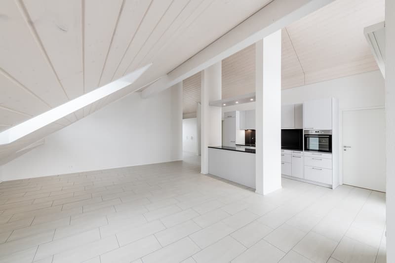Ein Bjoux unter dem Dach für Individualisten 3.5 Zimmer 90m2 (1)