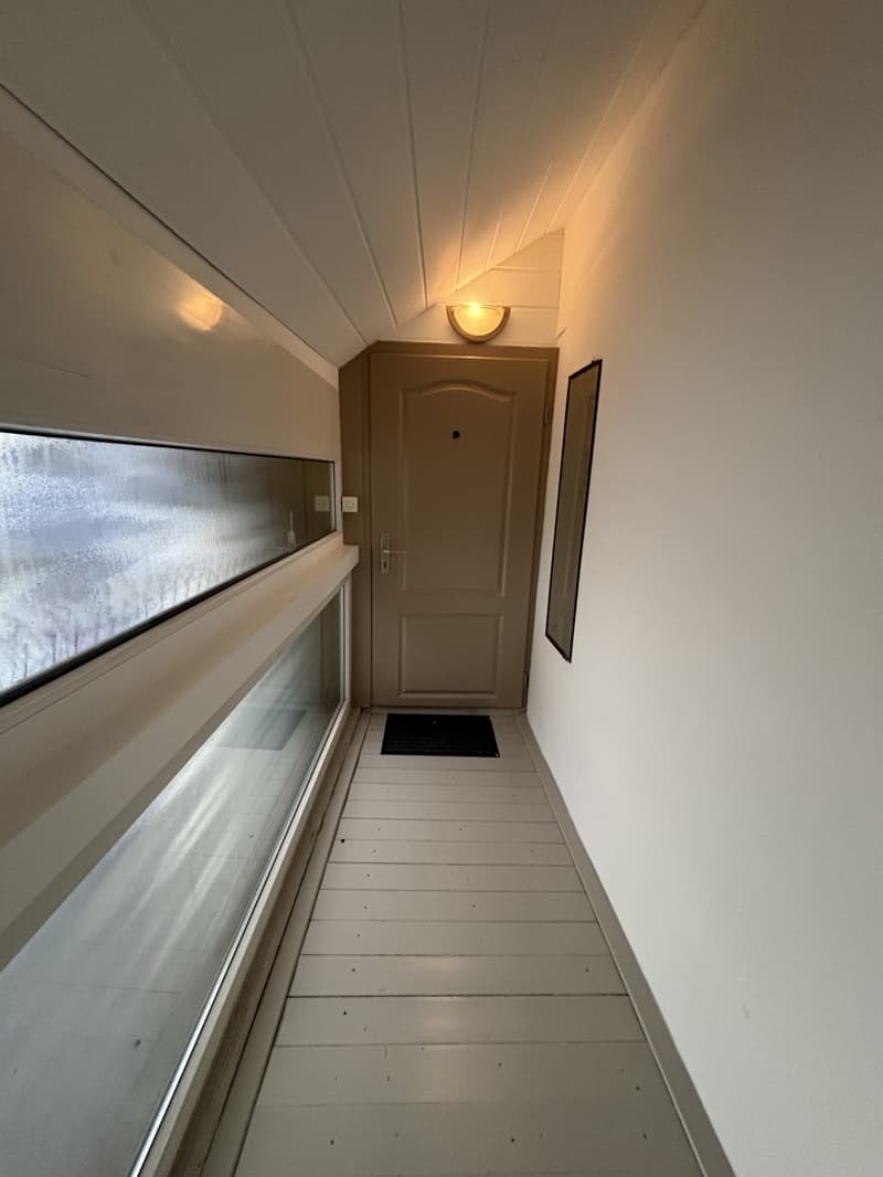 Charmantes, helles und stilvolles Loft in zentraler Lage (7)