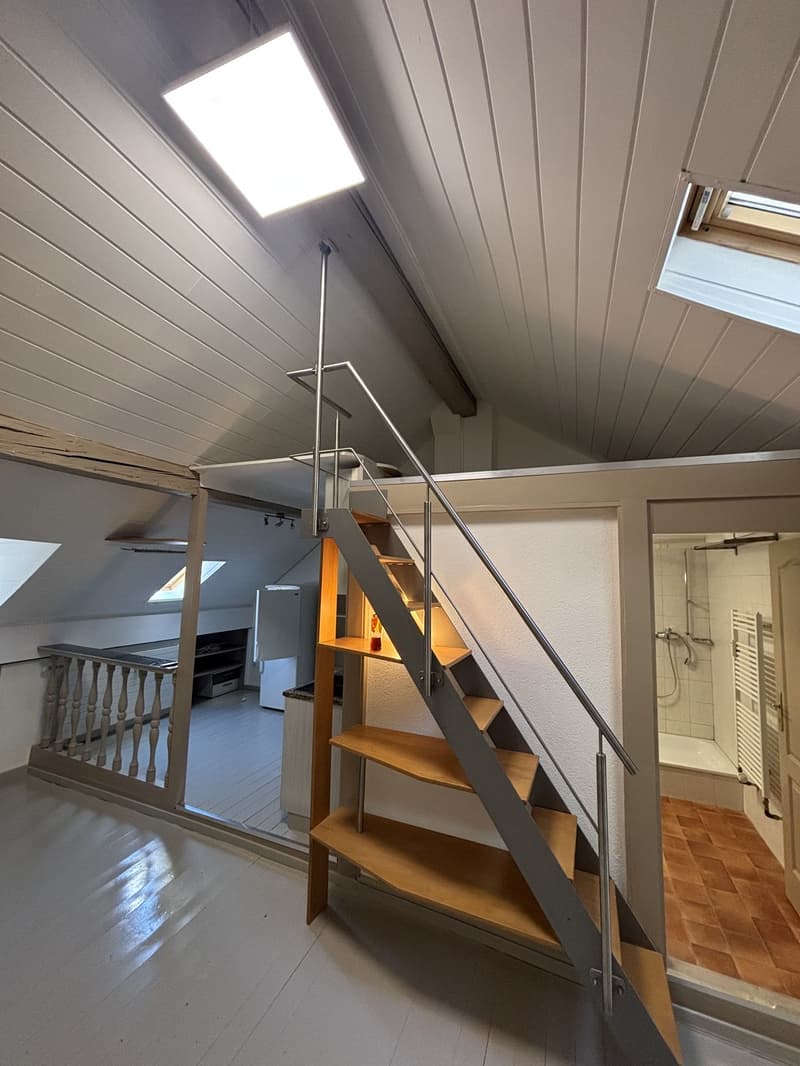 Charmantes, helles und stilvolles Loft in zentraler Lage (1)