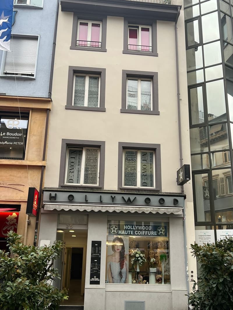Charmantes, helles und stilvolles Loft in zentraler Lage (2)