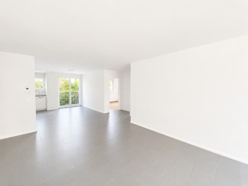 Grosszügige Familienwohnung mit 24 m2 grossem, teilweise verglastem Balkon (2)