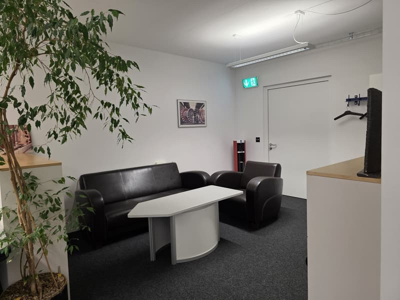 Büro im Carbahaus Arbeiten im pulsierenden Zürich West (10)