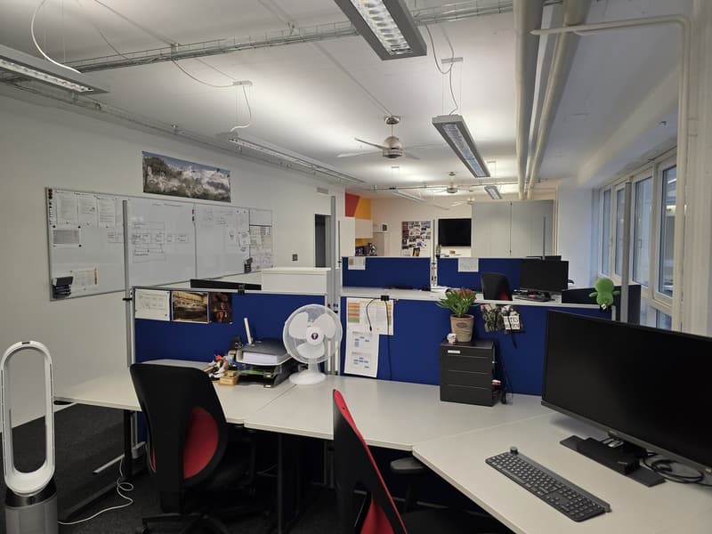 Büro im Carbahaus Arbeiten im pulsierenden Zürich West (8)