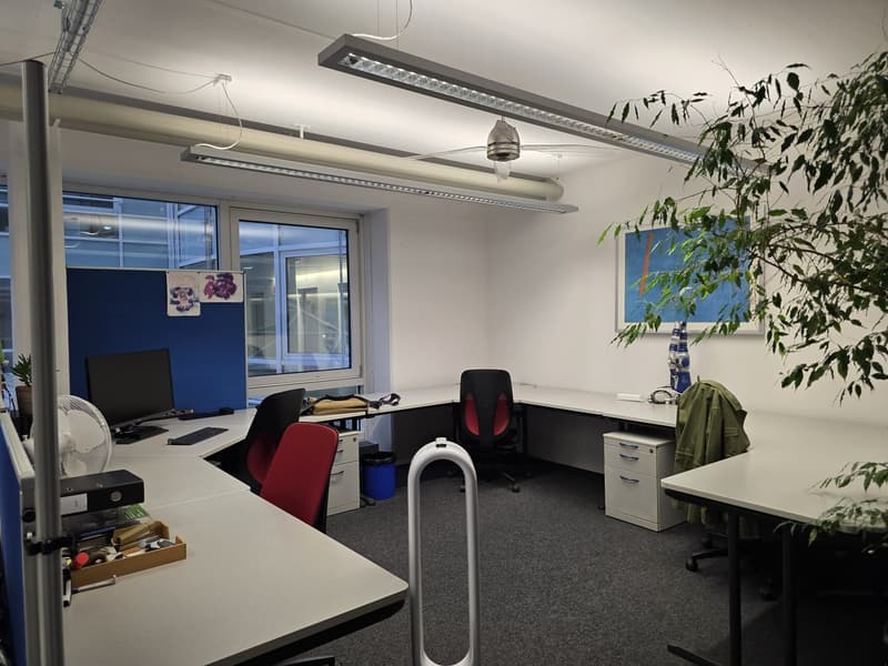 Büro im Carbahaus Arbeiten im pulsierenden Zürich West (5)