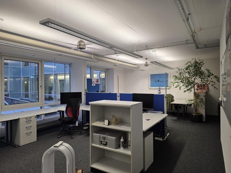 Büro im Carbahaus Arbeiten im pulsierenden Zürich West (6)