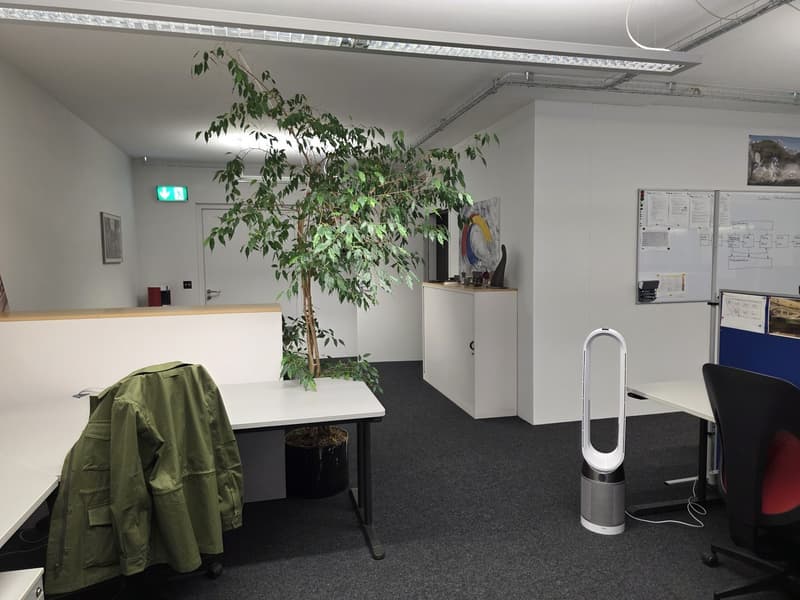 Büro im Carbahaus Arbeiten im pulsierenden Zürich West (9)