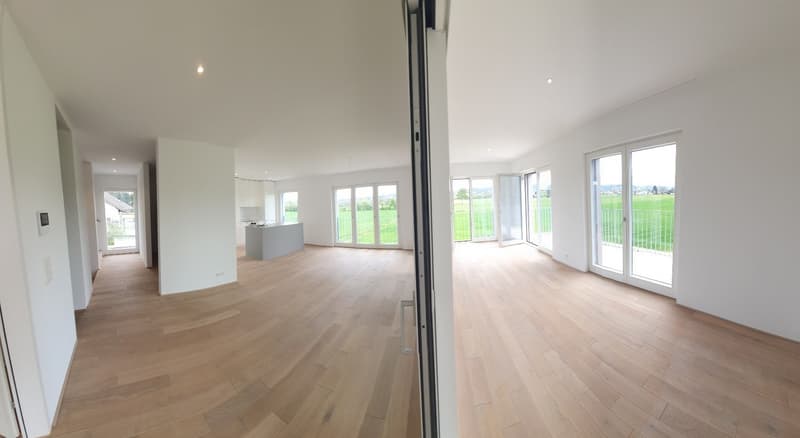 Neue 4.5 Zi. Maisonette - Blick ins Grüne- Solar-Strom - sehr zentral! (11)