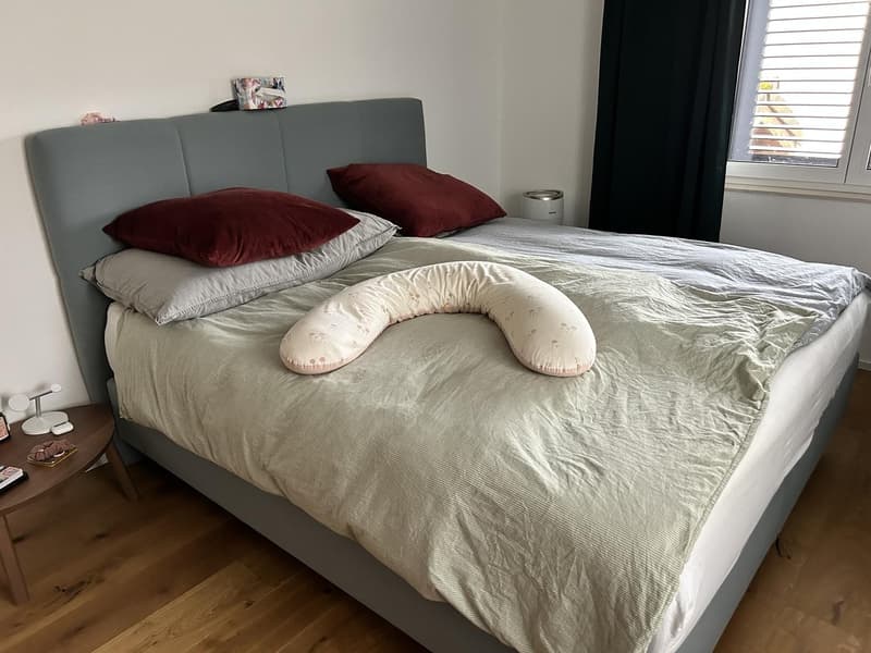 Exklusives, freistehendes Einfamilienhaus im Hochparterre mit grossem Garten in Brugg (5)